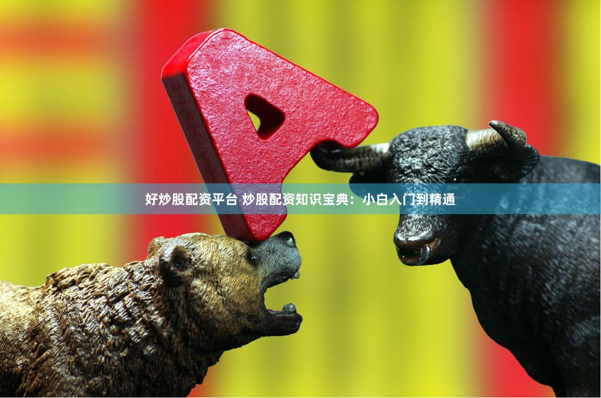 好炒股配资平台 炒股配资知识宝典：小白入门到精通